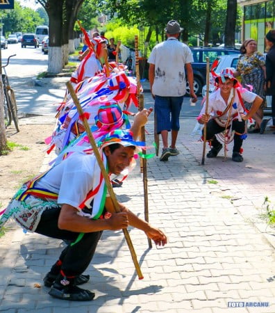 13450831_1230127670340079_4340858265687141522_n