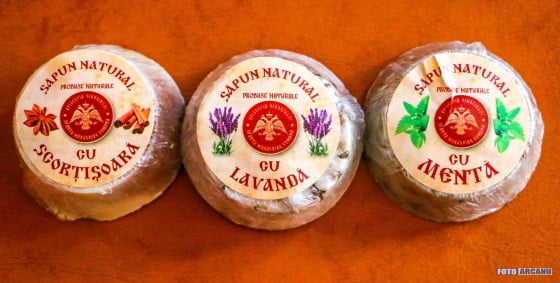 13482923_1234195946599918_1854051376928389992_o