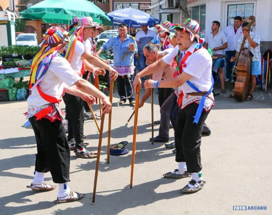 13495098_1230128080340038_5004613056348304054_n