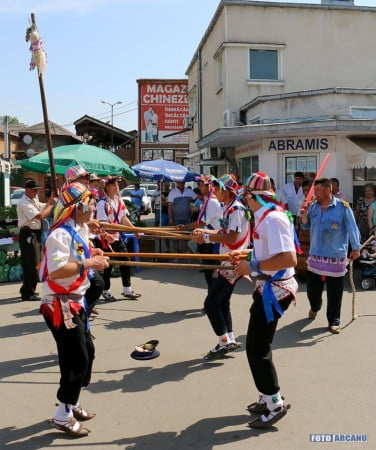 13502891_1230128303673349_8577252306003481874_o