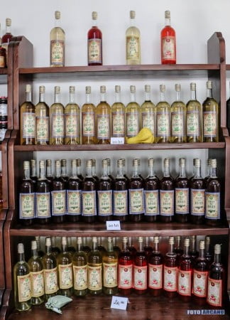 13521854_1234196079933238_8596098708130952044_n