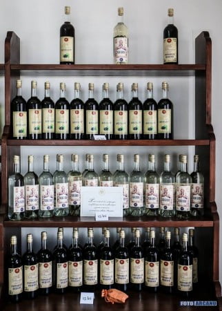 13521976_1234196116599901_9131346598144389044_n