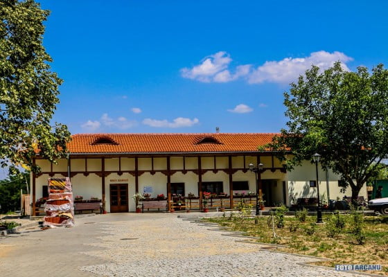 13528636_1234195866599926_8513074274937997450_o