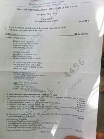 subiecte-romana-evaluare-nationala-2016-varianta-2_41481300