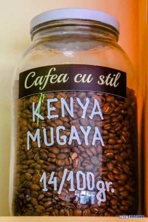 13512114_1238469666172546_7618669115622333058_n