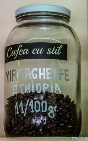 13516710_1238469732839206_3248125027449443638_n