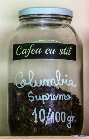 13537582_1238469619505884_7989980382558247850_n