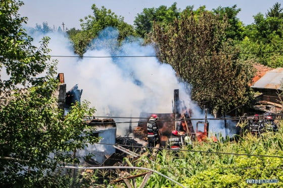 13581964_1242023955817117_4447369939915887958_o