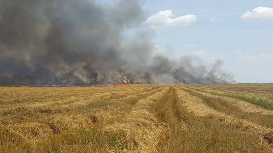 13599465_1692989084299470_1856455693_n