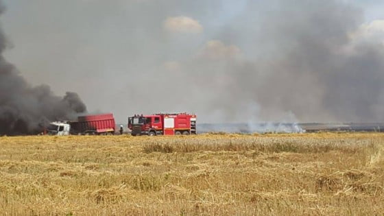 13608205_1692991577632554_586793904_n