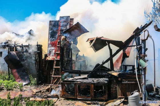 13640789_1242023319150514_38560168341716581_o