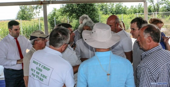 13653238_1253841851301994_5598265641250395450_o