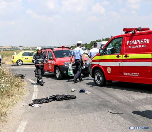 13680733_1253055101380669_5721660899932654136_n