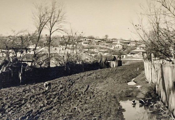 13710527_1250494541636725_6192575018416292683_o