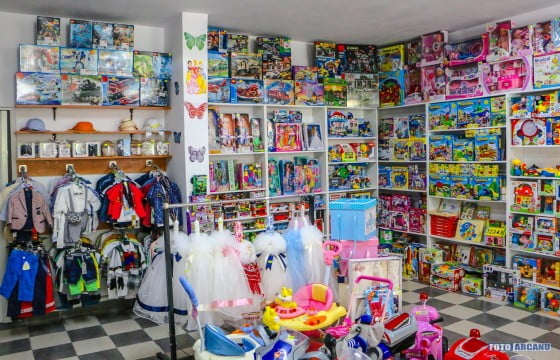 13735117_1247445021941677_8232635929199056340_o