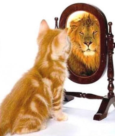 sigurnost_u_samoga_sebe_v_thumb