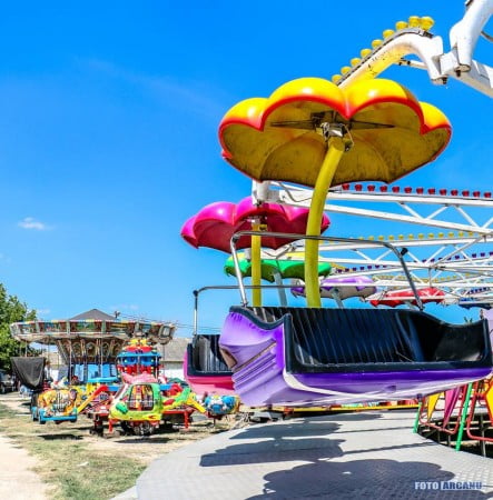 13886395_1259825307370315_1288066195327250711_n