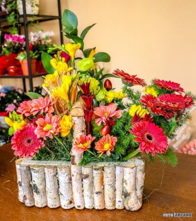 13902804_1266368970049282_3561262468893623361_n