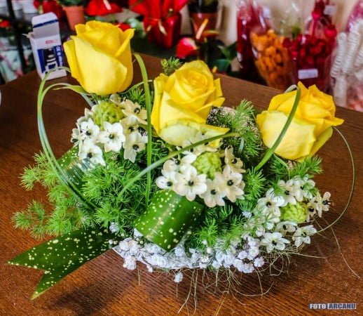 13906709_1266368960049283_6235145078702509260_n