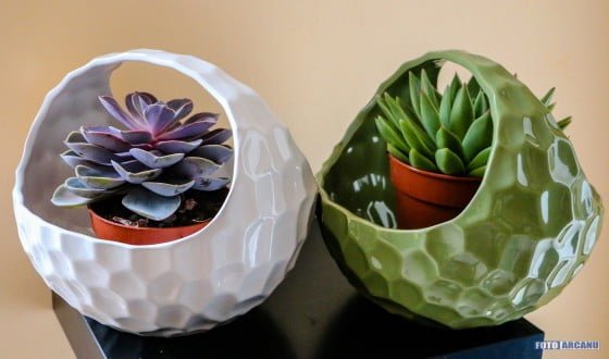 13913670_1266368203382692_8560872998774519929_o