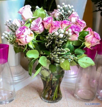 13914152_1266369446715901_667345962830499777_o