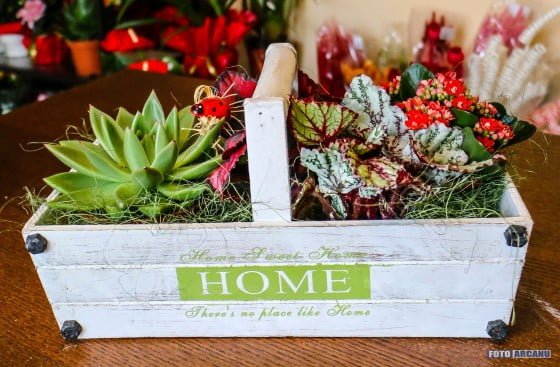 13963079_1266369176715928_5024134384812749156_o