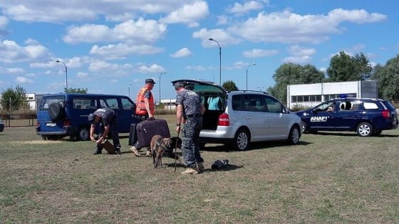 14111871_1060964097284428_1554119458_n