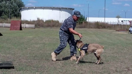 14138303_1060964473951057_1368070772_n