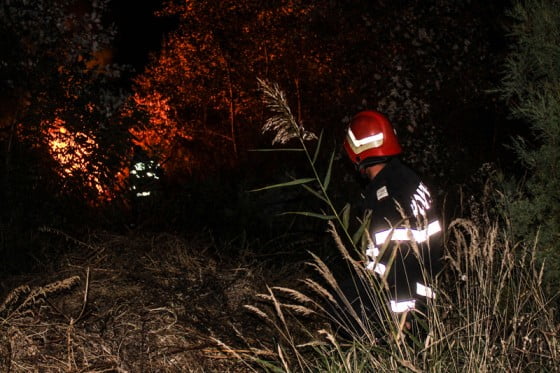 Incendiu vegetatie 1