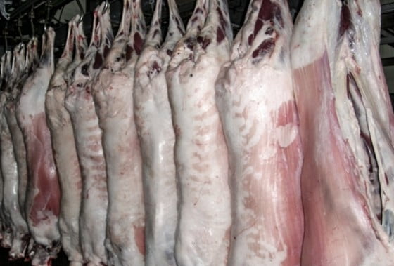 Viandes-rouges-Le-Point-Economique-Algérie