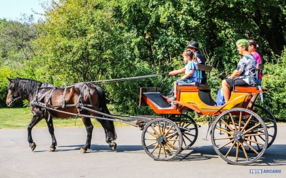 13938030_523298171203553_1564666304833900922_o