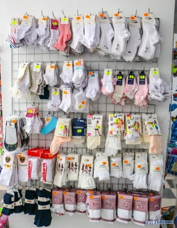 14202536_1291009780918534_8210333179127474896_n