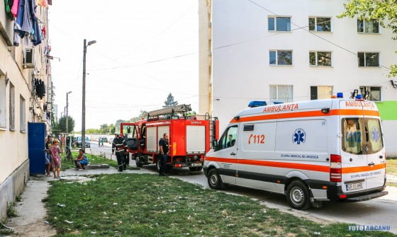 14207671_1291960090823503_6112240480898881202_o