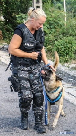 14368851_522497414616962_6892606415965015816_n