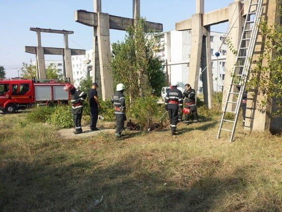 14397270_1213027765437247_935198899_n