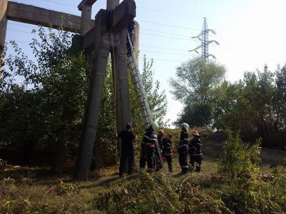 14397444_1213027988770558_586090274_n