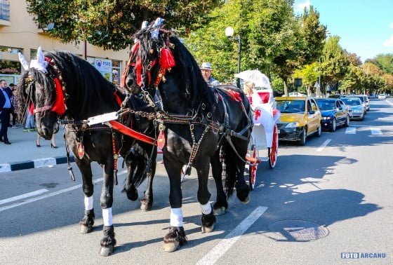 14425283_1305516592801186_2809654609661314439_o