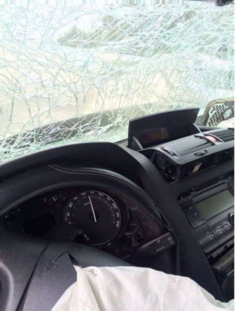 14463776_1304319529599921_479220525_n