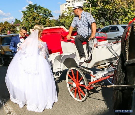 14469544_1305516726134506_651279297515860474_n