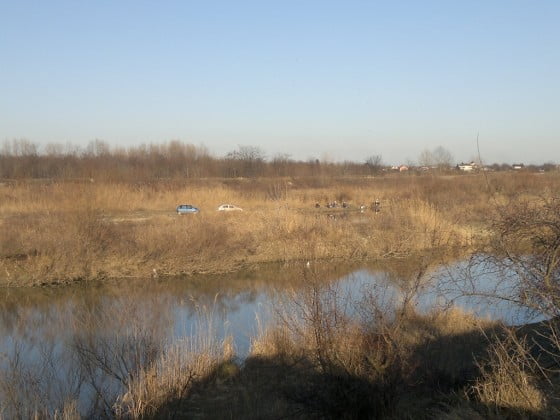 pescari-de-februarie-pe-raul-arges-in-2016