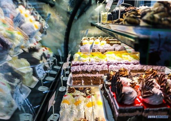 14720564_1337736256245886_8925390593995752709_n