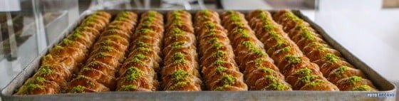 14753879_1337736829579162_6165751518327503917_o