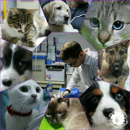 14906901_1194159730644485_4166587287317166745_n