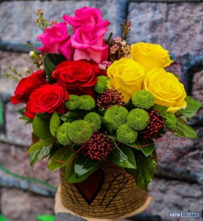 15211685_555222998011070_1914324485_n