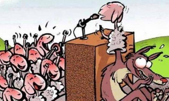 campania-electorala-e1462004934979