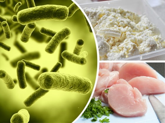 ecoli-branza-pui-arges-ansvsa