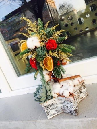 15589597_1351035648269697_6419149720578424793_n