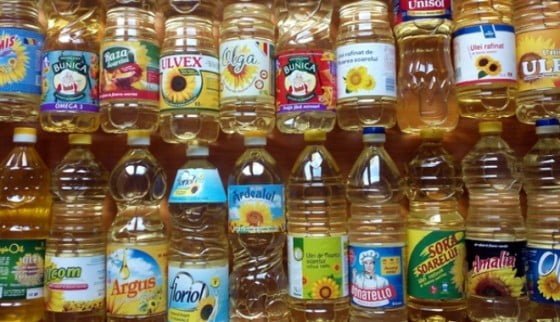 fotofondulei-1481125531