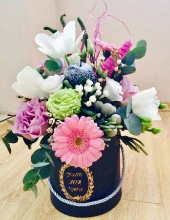 15970807_1372932559413339_1244026508_n