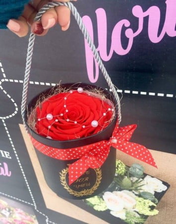 15995418_1372934852746443_1791330508_n